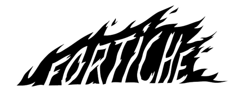 Logo Fortiche