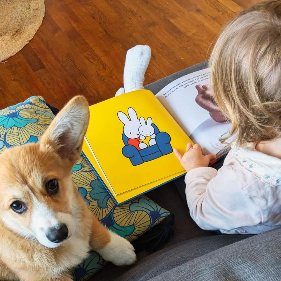 Lison et son chien Bunny : pause lecture avec l’album Miffy et les artistes