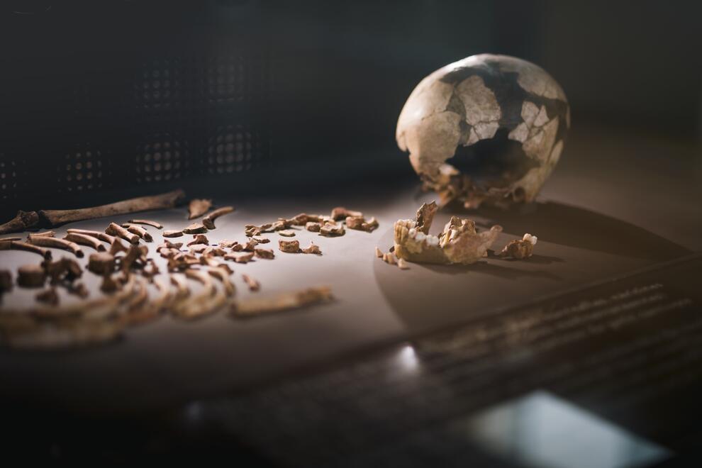 Sépulture de l’enfant de la Madeleine